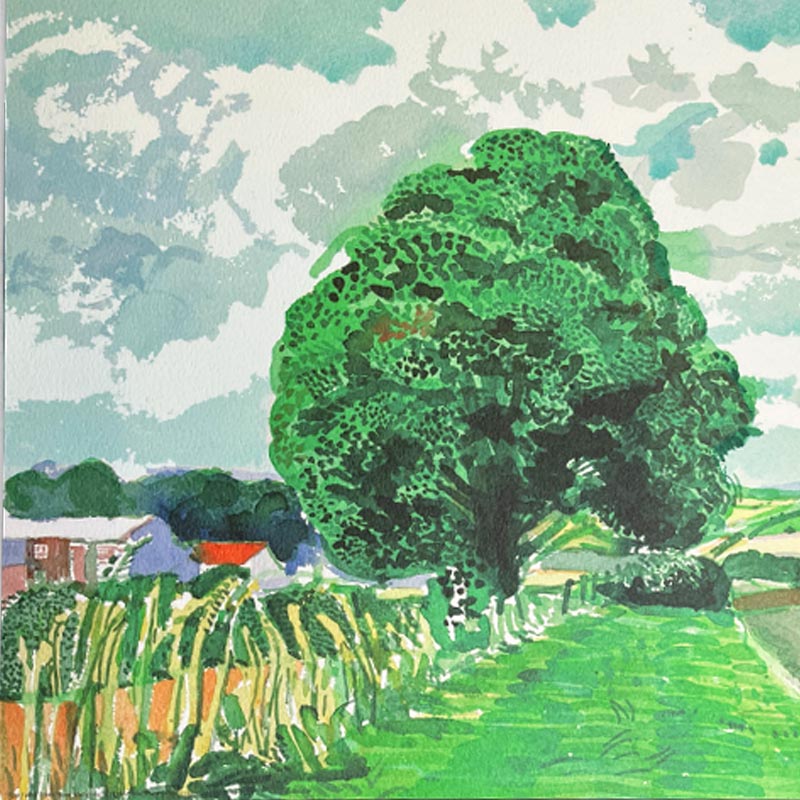 Road and Tree Near Wetwang ( from Midsummer: East Yorkshire) Poster by David Hockney - Image 2