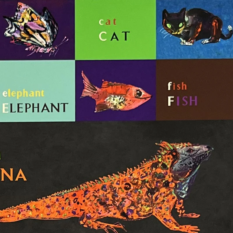 ABC by Brian Wildsmith - limited edition of 100 copies - Image 3