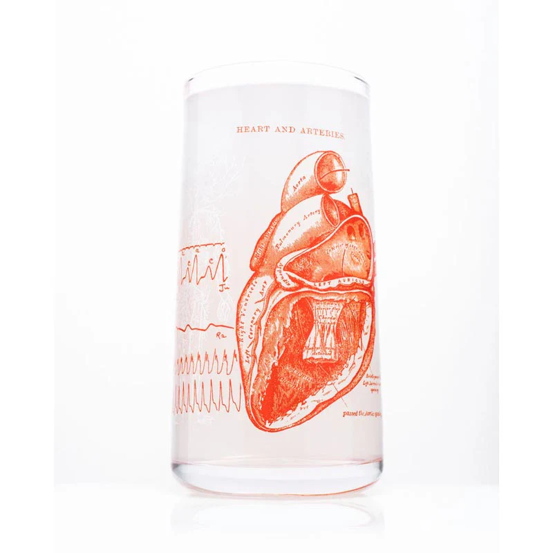Anatomical Heart Tumbler Drinking Glass by Cognitive Surplus - Image 3