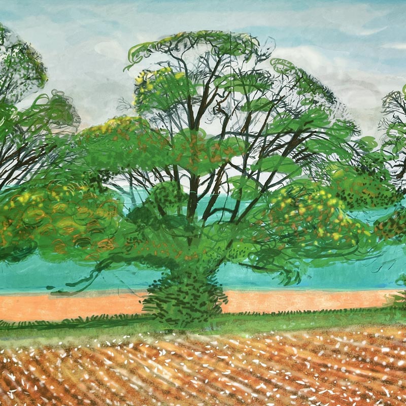 Autumn Trees Near Thixendale by David Hockney - Image 3