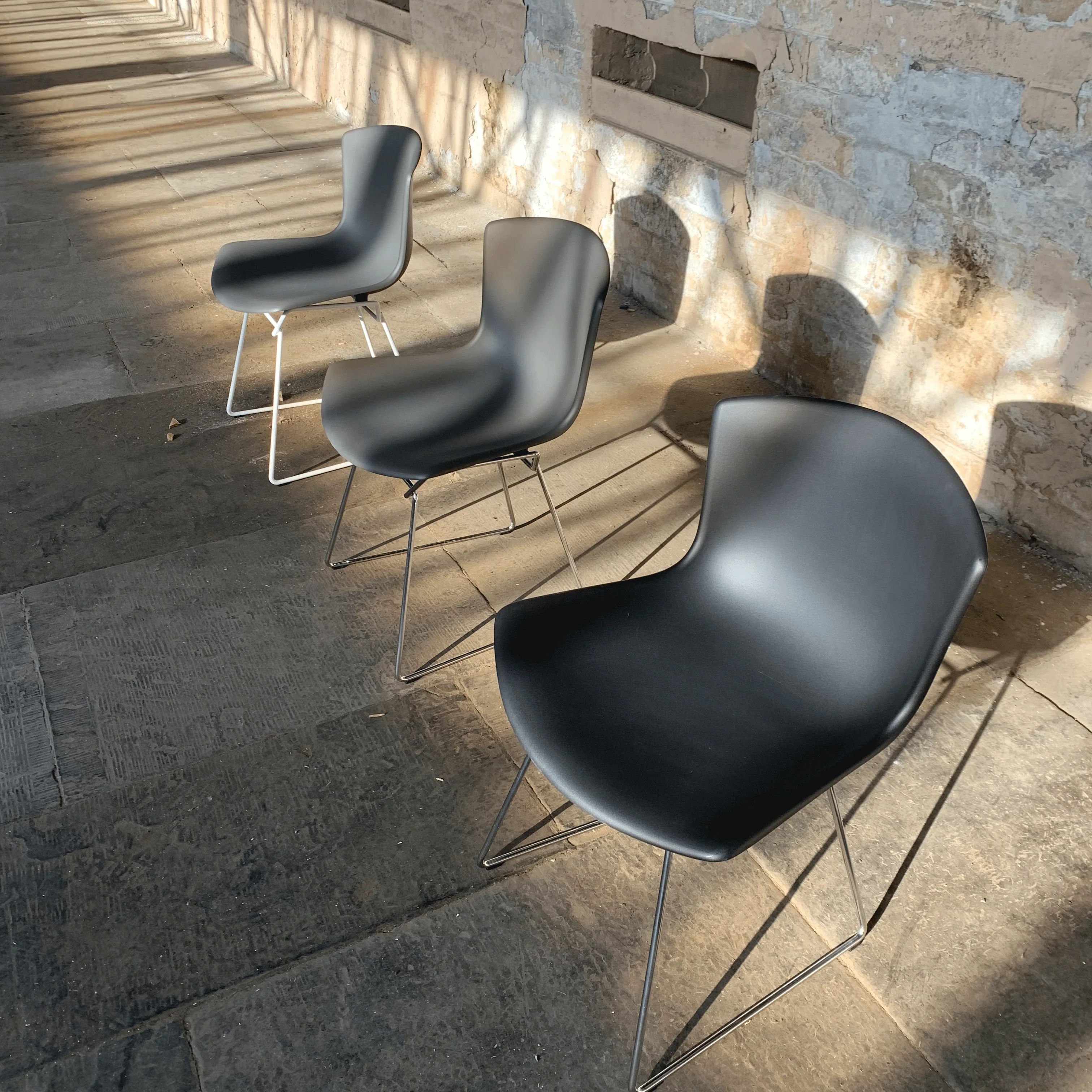 Bertoia Plastic Side Chair des. Harry Bertoia, 1956 - black shell / chrome base (made by Knoll) - Image 7