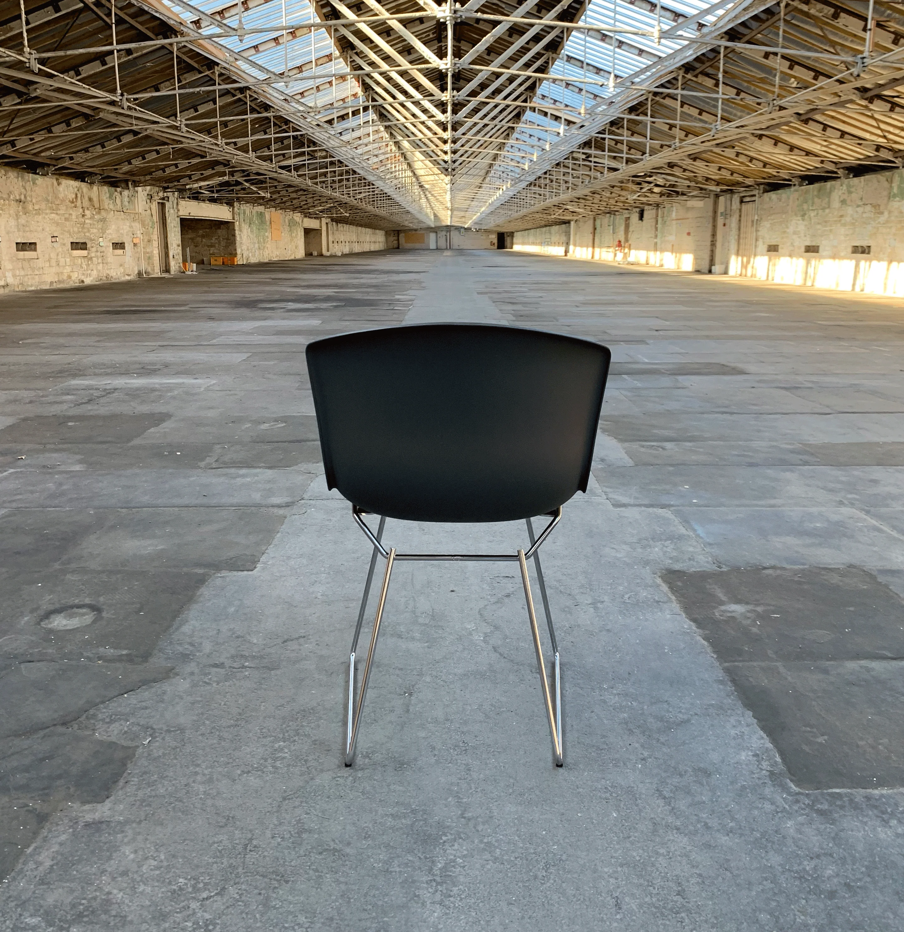 Bertoia Plastic Side Chair des. Harry Bertoia, 1956 - grey shell / chrome base (made by Knoll) - Image 6