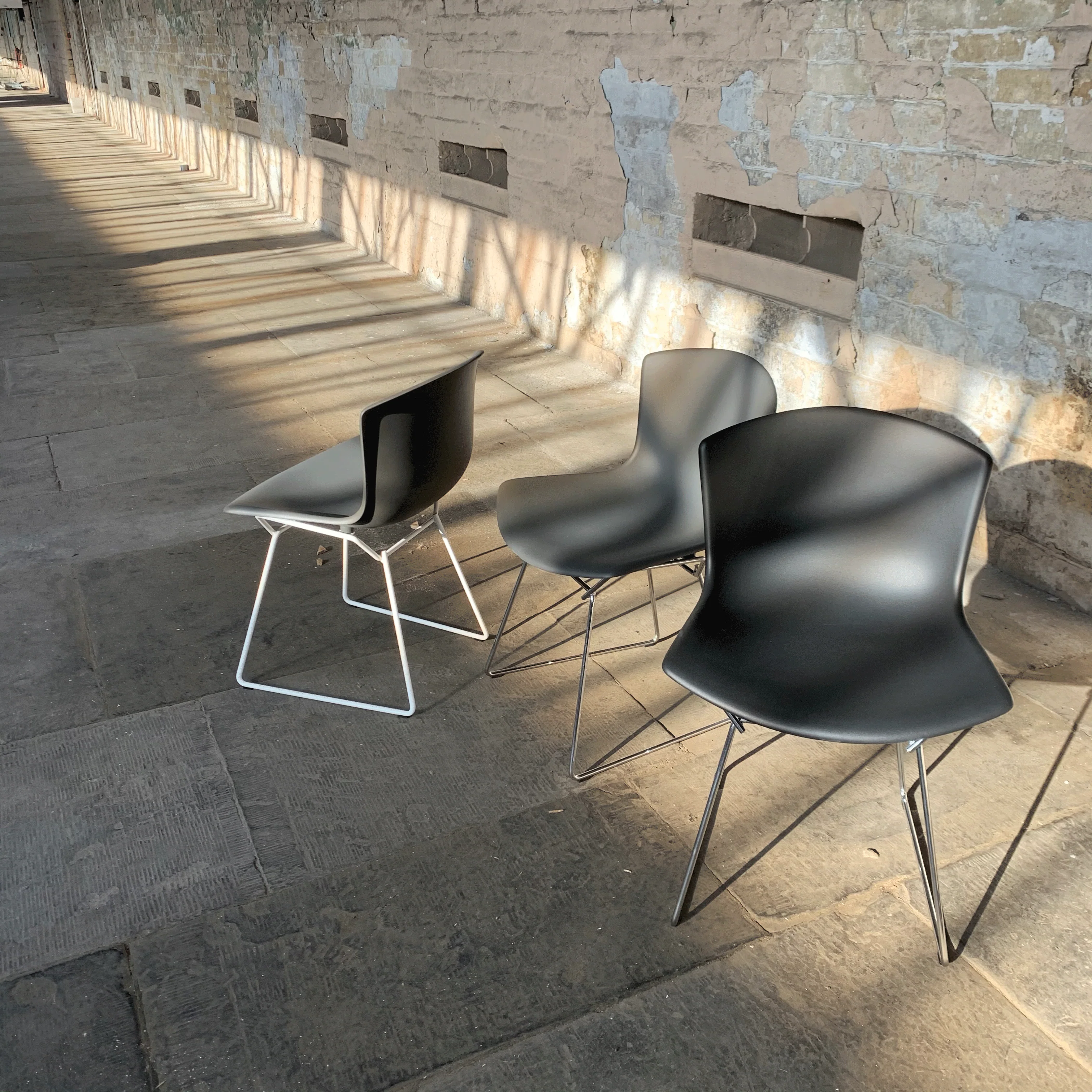 Bertoia Plastic Side Chair des. Harry Bertoia, 1956 - grey shell / chrome base (made by Knoll) - Image 7