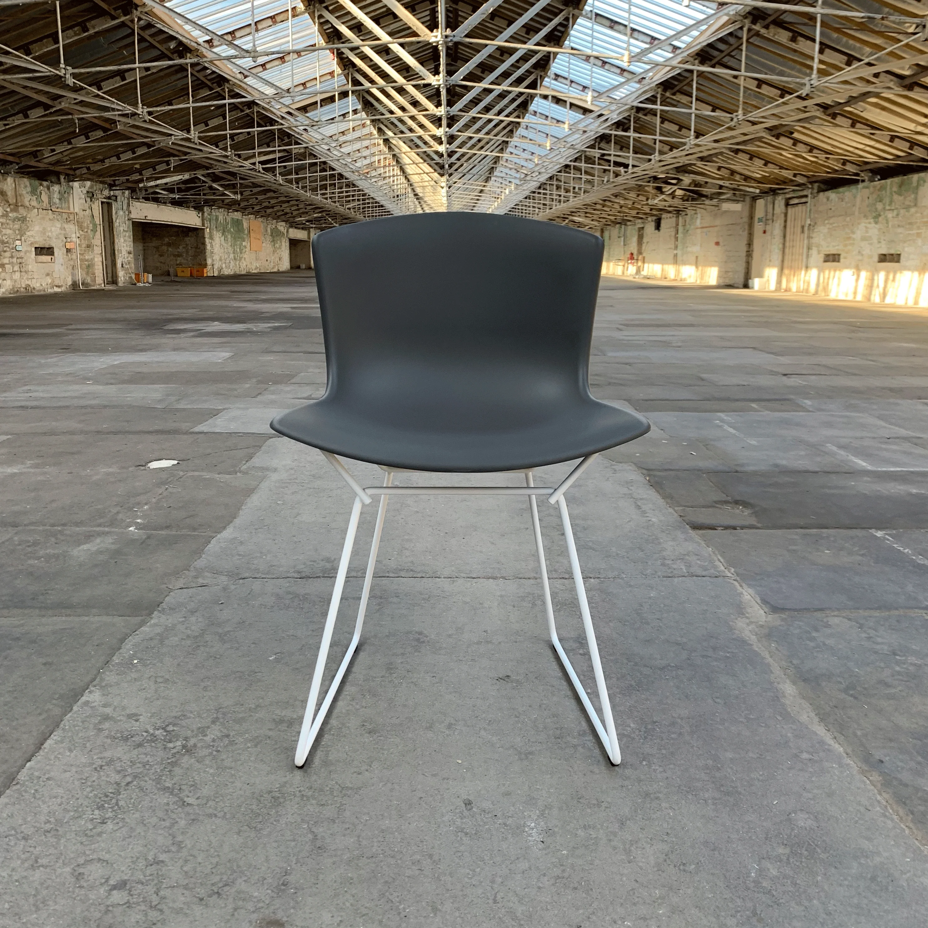 Bertoia Plastic Side Chair des. Harry Bertoia, 1956 - grey shell / white base (made by Knoll)