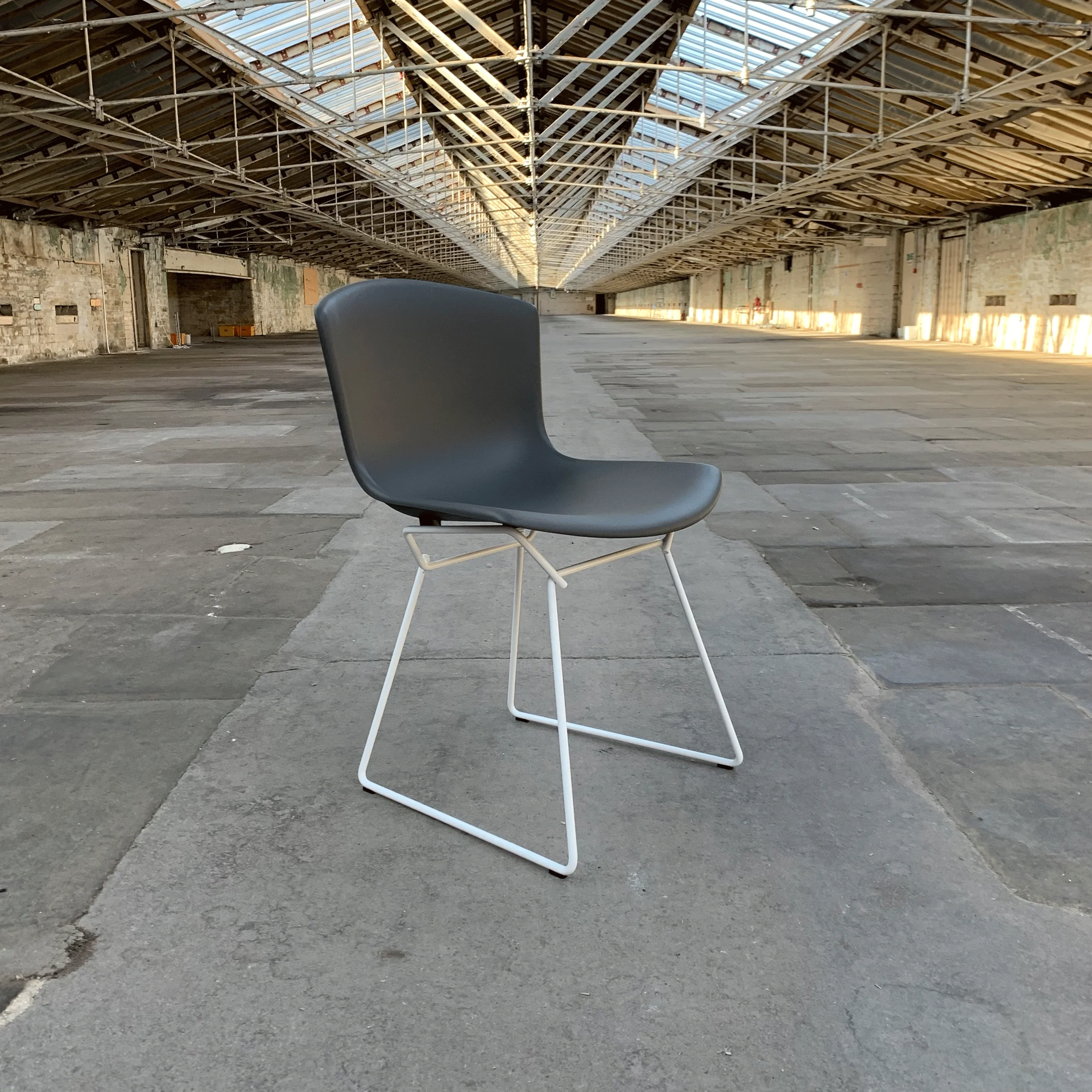 Bertoia Plastic Side Chair des. Harry Bertoia, 1956 - grey shell / white base (made by Knoll) - Image 2