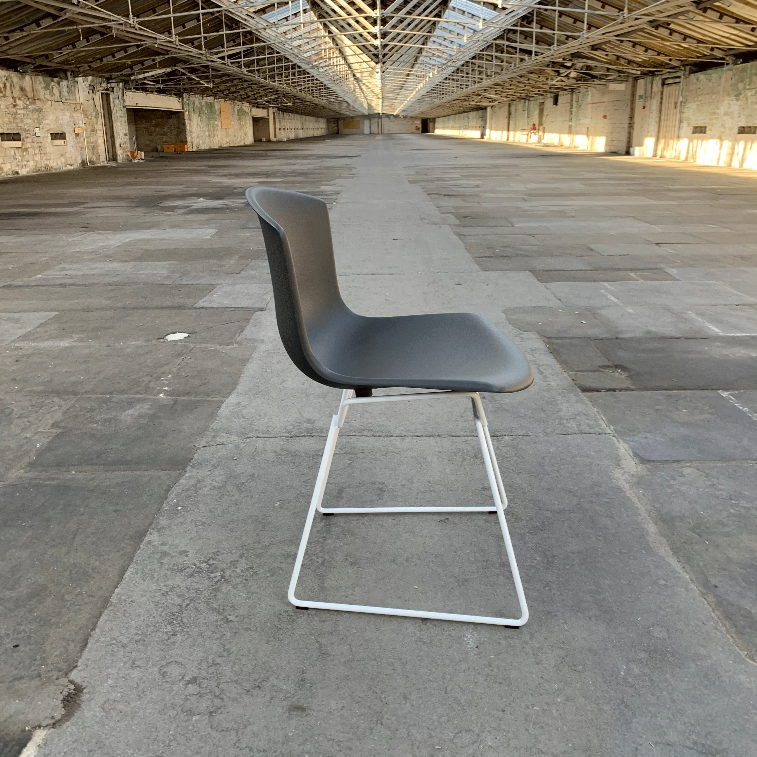 Bertoia Plastic Side Chair des. Harry Bertoia, 1956 - grey shell / white base (made by Knoll) - Image 3