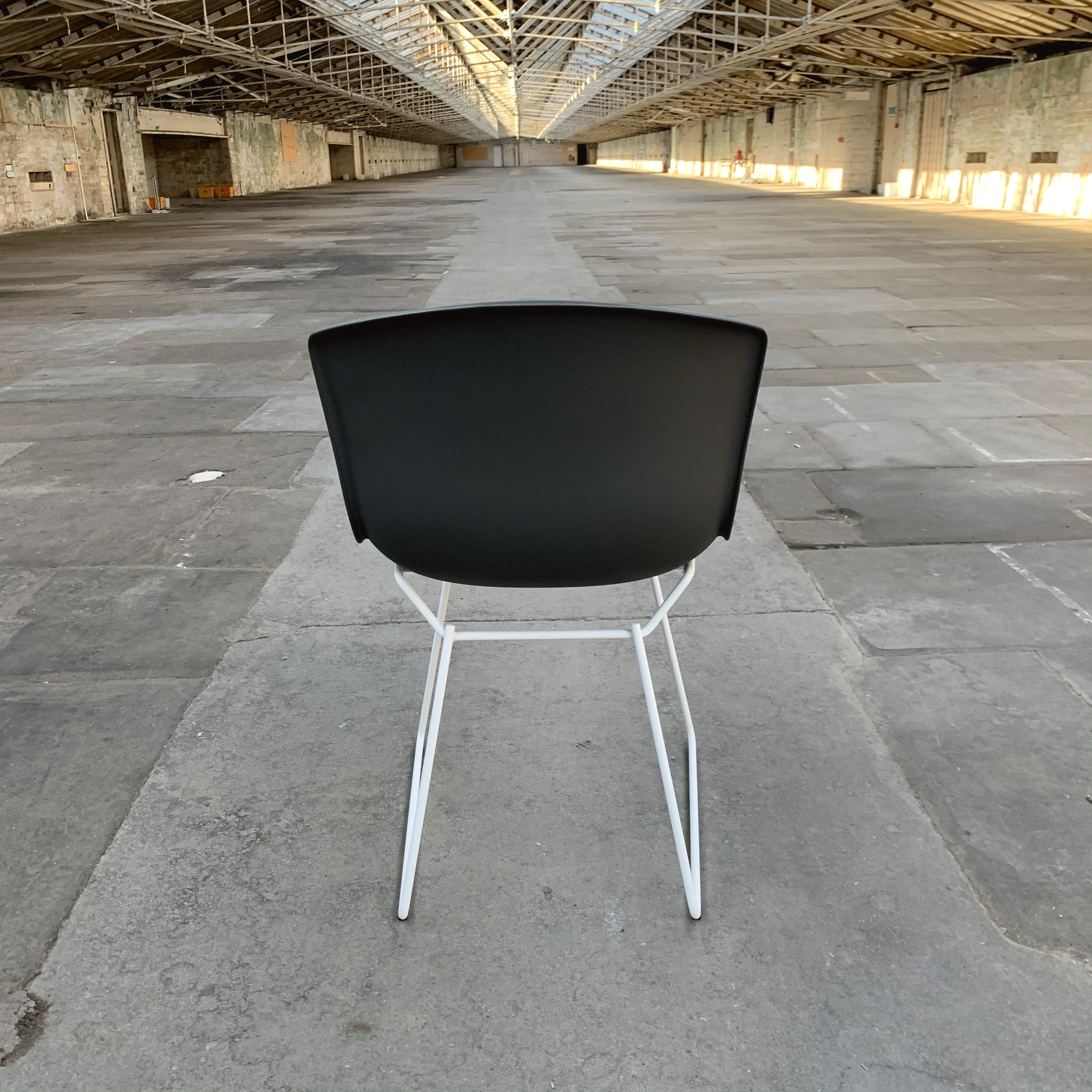 Bertoia Plastic Side Chair des. Harry Bertoia, 1956 - grey shell / white base (made by Knoll) - Image 4