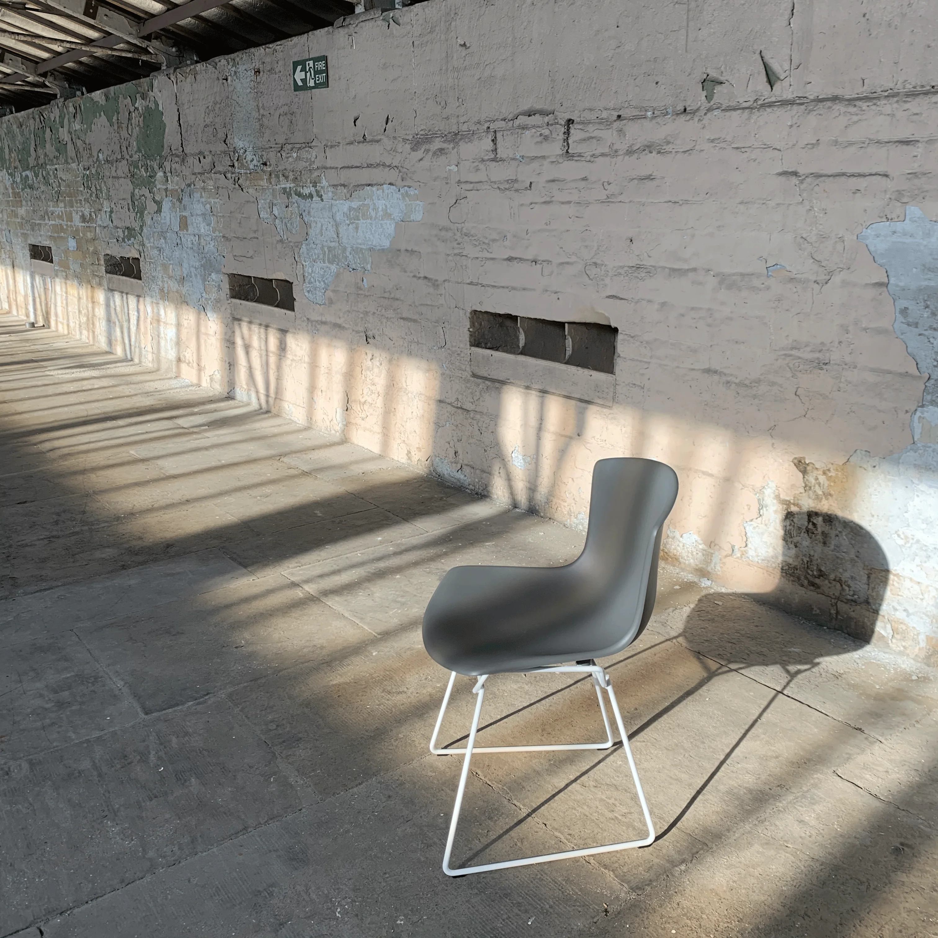 Bertoia Plastic Side Chair des. Harry Bertoia, 1956 - grey shell / white base (made by Knoll) - Image 5