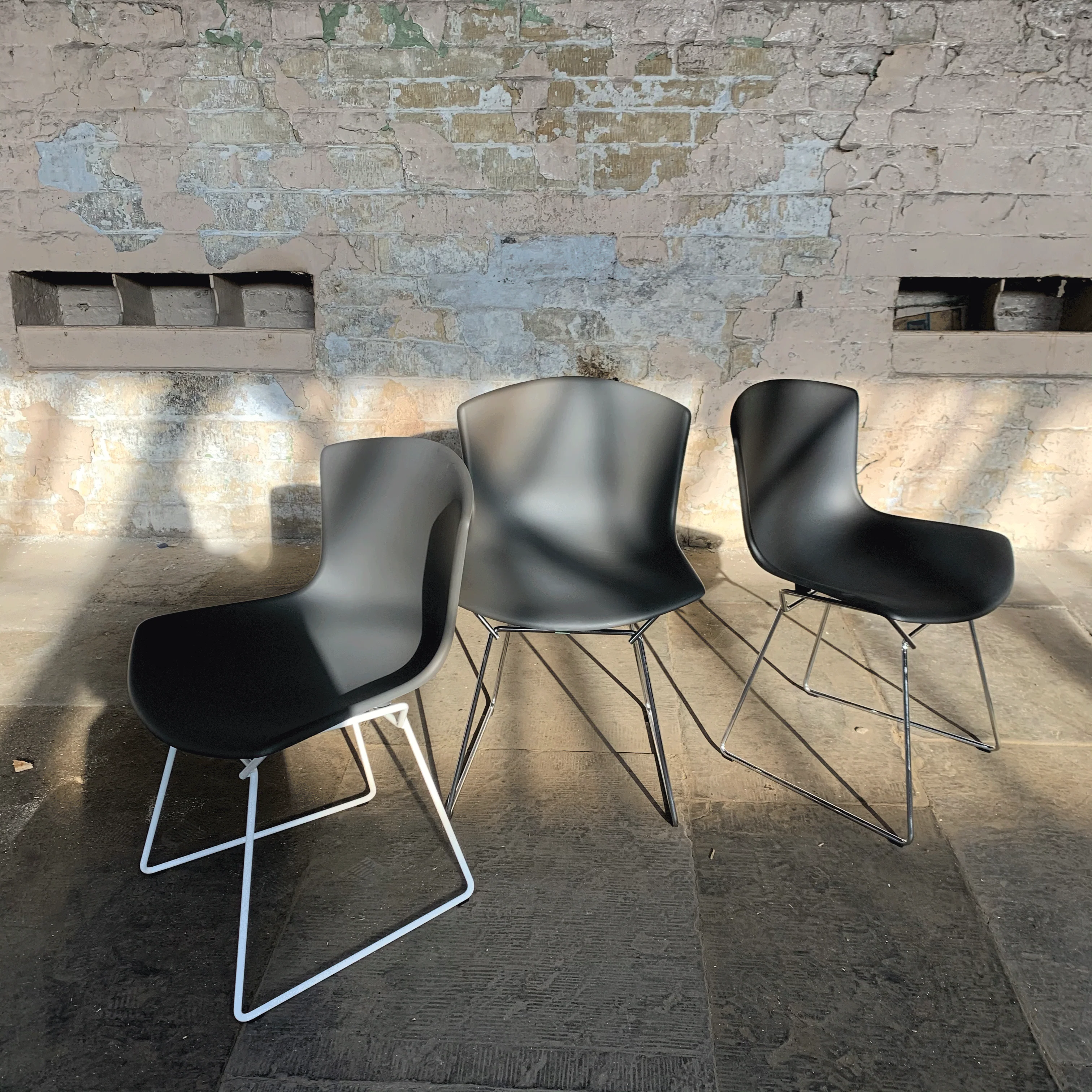 Bertoia Plastic Side Chair des. Harry Bertoia, 1956 - grey shell / white base (made by Knoll) - Image 6