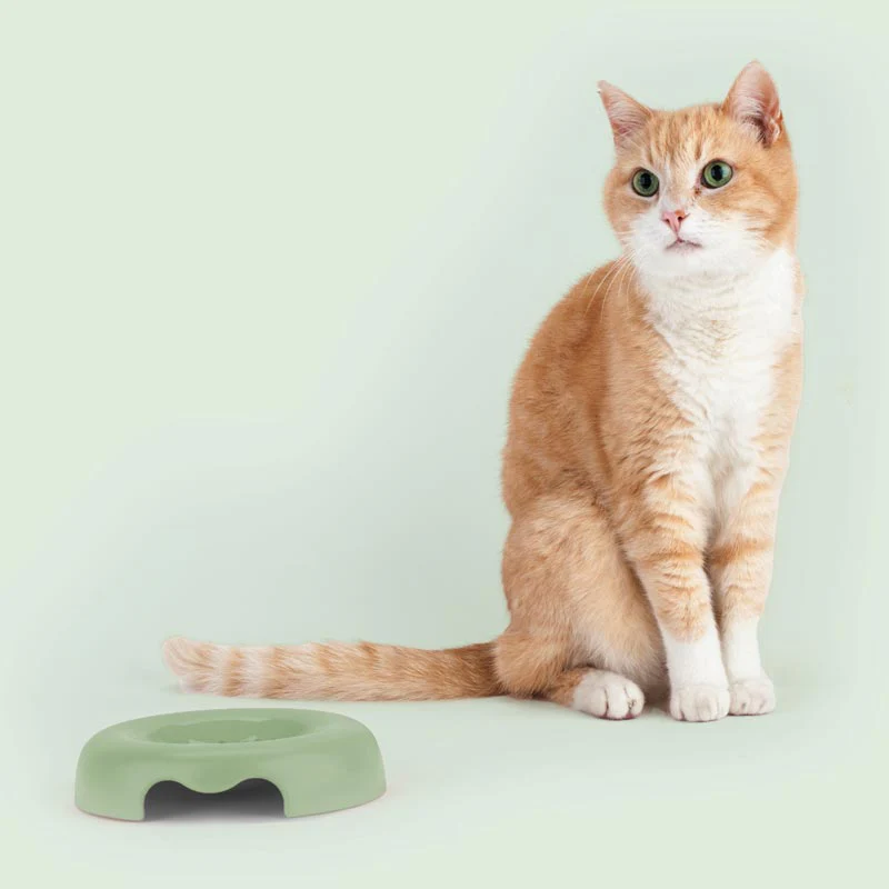 "Kitty" Cat Bowl - Green - by United Pets - Image 2