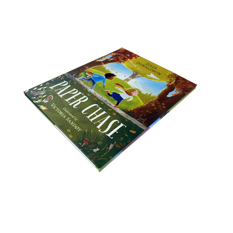 Paper Chase (Hardback) by Julia Donaldson - Image 2