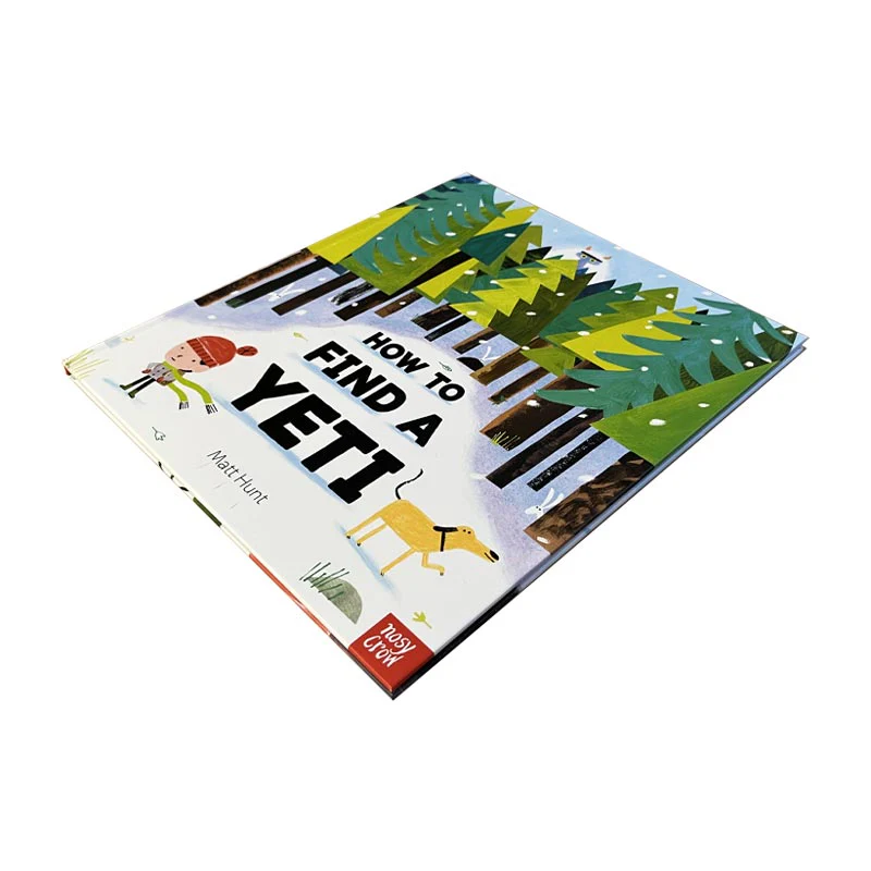 How to Find a Yeti (HARDBACK) by Matt Hunt - Image 2