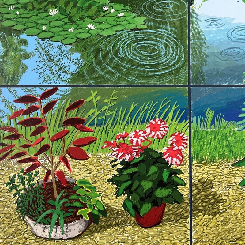 Water Lilies in the Pond with Pots of Flowers poster by David Hockney - white background - Image 3