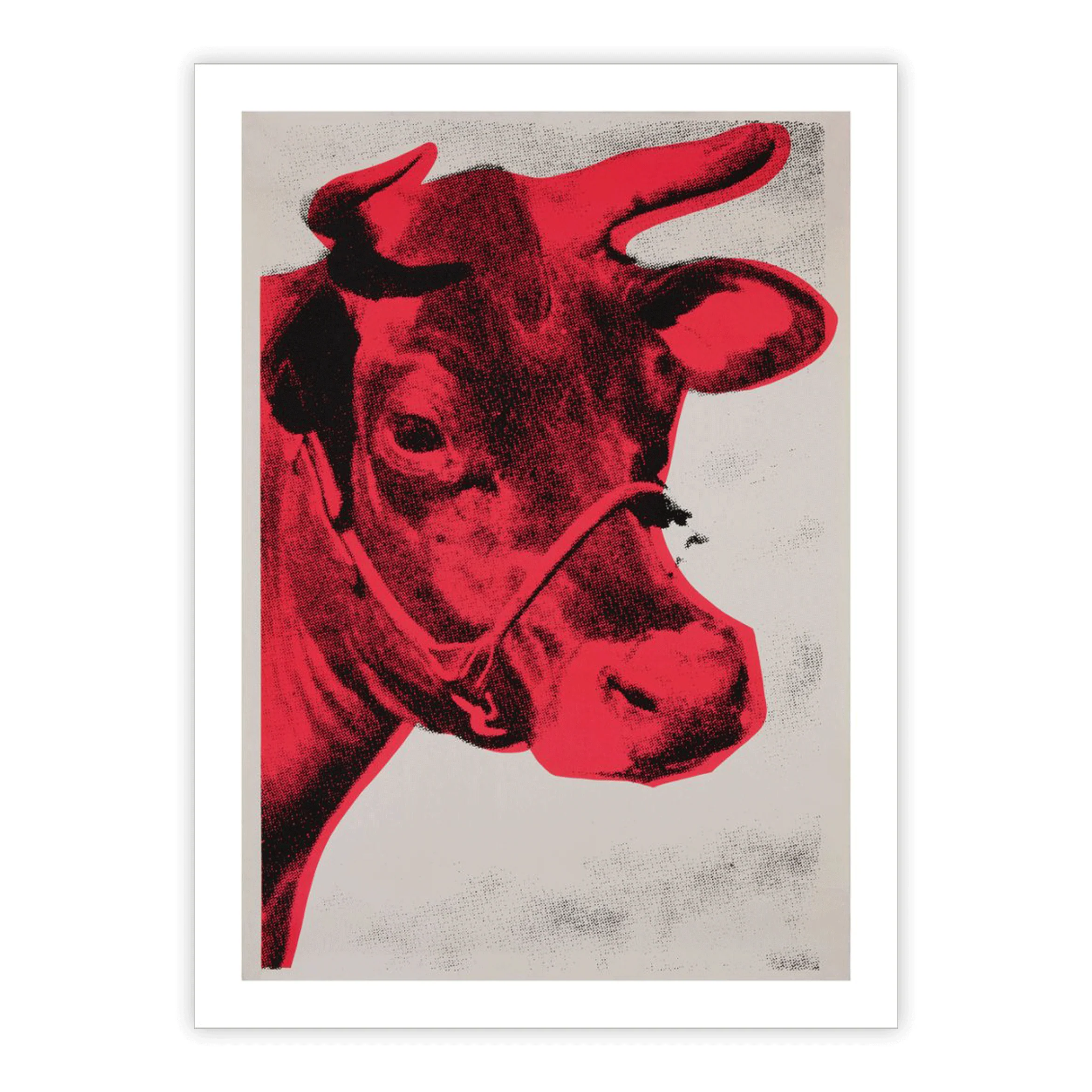 Cow, 1976 poster by Andy Warhol (special edition giclée print on heavyweight watercolour paper) - Image 2