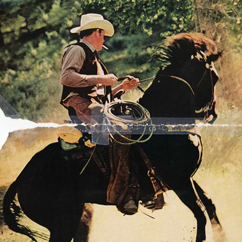 Cowboy Poster by Richard Prince - Image 2