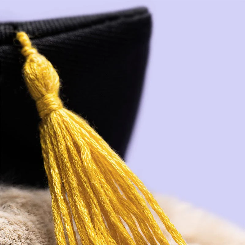 Bashful Bunny Graduation Outfit - Jellycat - Image 5