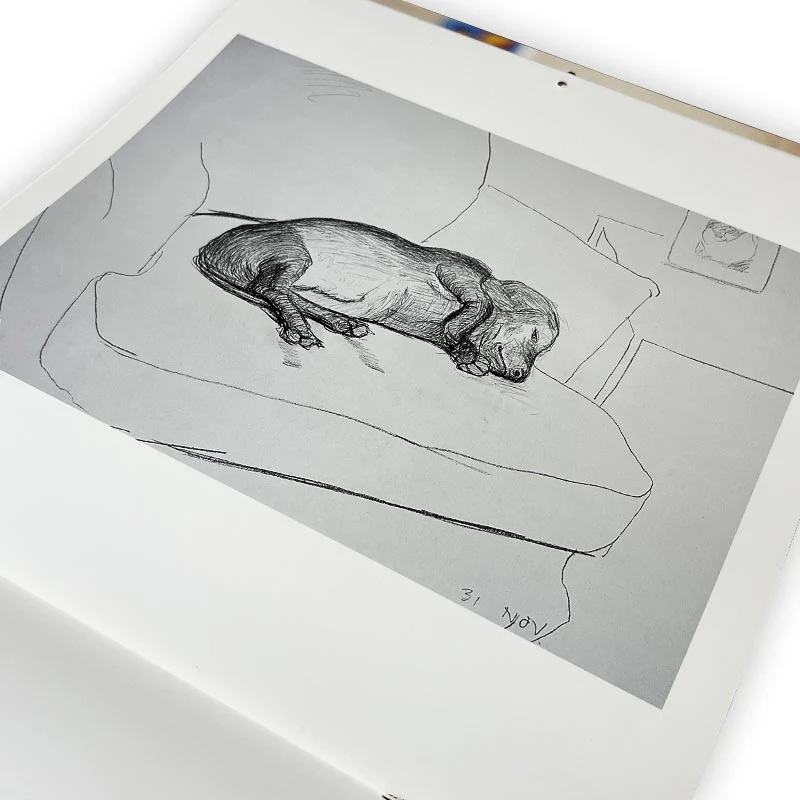 David Hockney 1995 Black and White Dog Calendar - Image 5