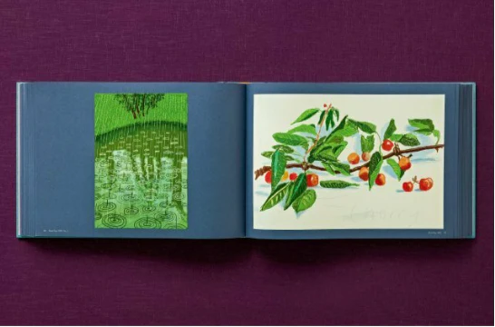 David Hockney 220 for 2020: edition of 1620 books, numbered and stamped - Image 12