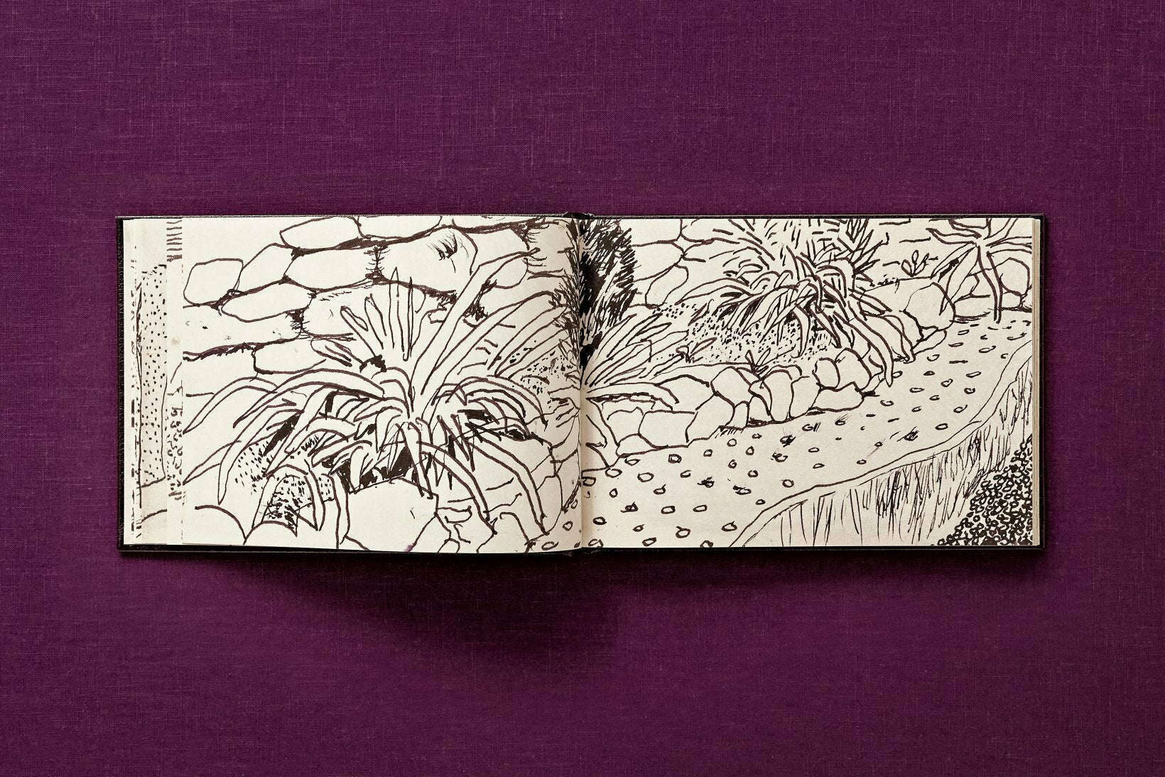 David Hockney 220 for 2020: edition of 1620 books, numbered and stamped - Image 29