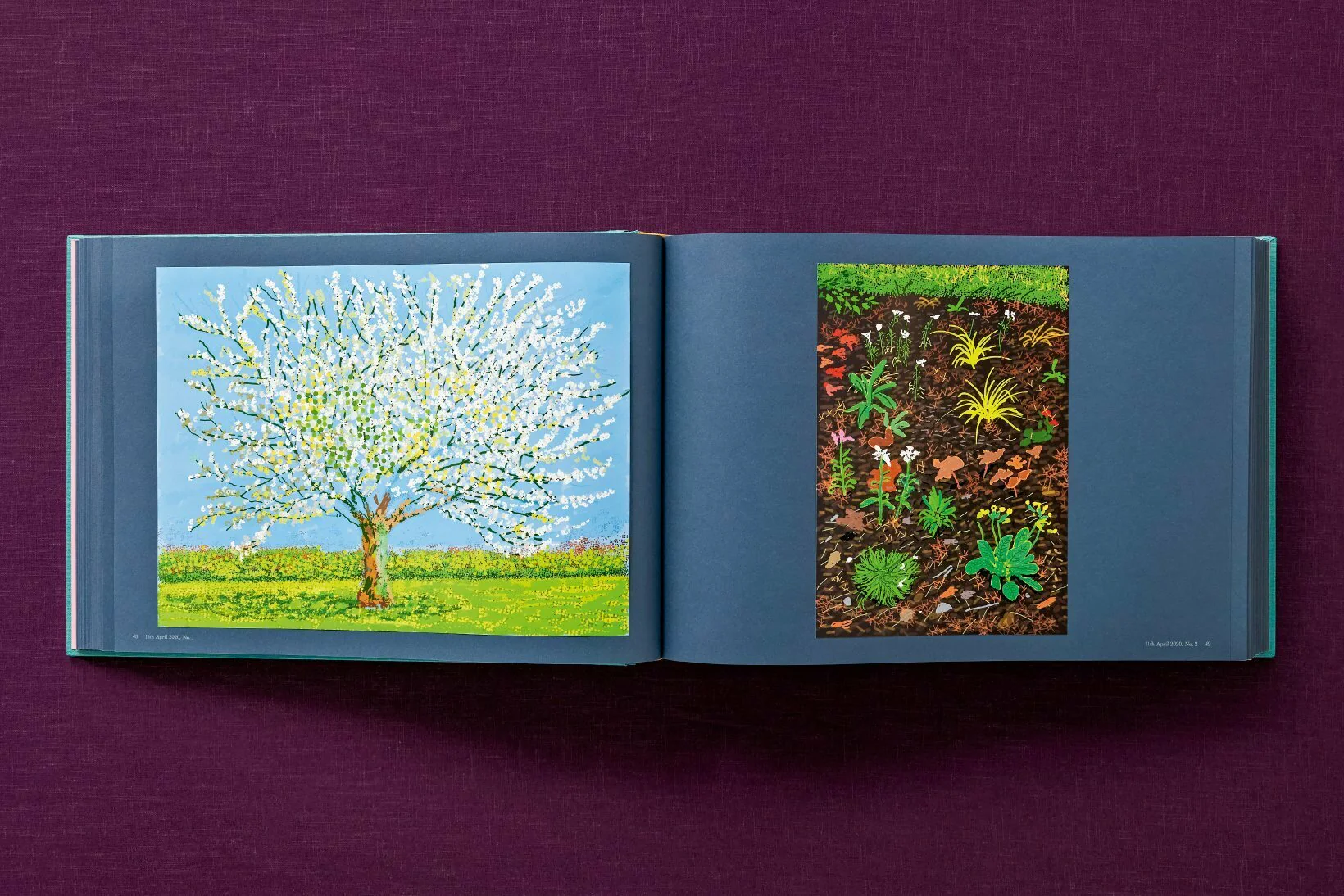 David Hockney 220 for 2020: edition of 1620 books, numbered and stamped - Image 45