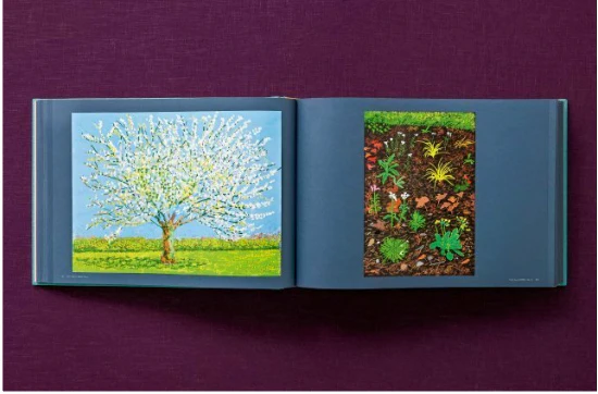 David Hockney 220 for 2020: edition of 1620 books, numbered and stamped - Image 7