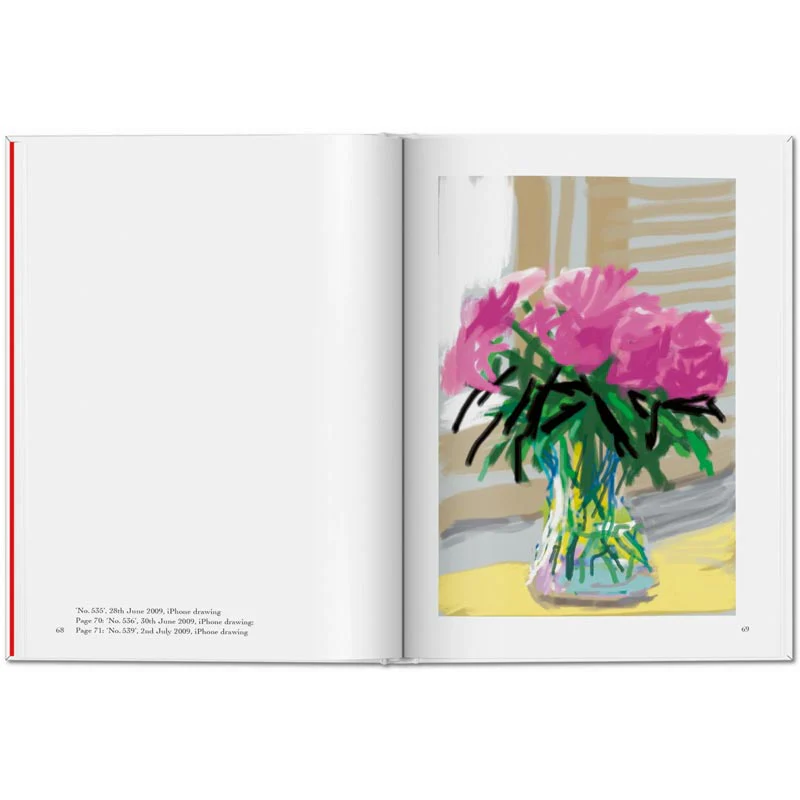 My Window by David Hockney, pocket-size format - Image 8