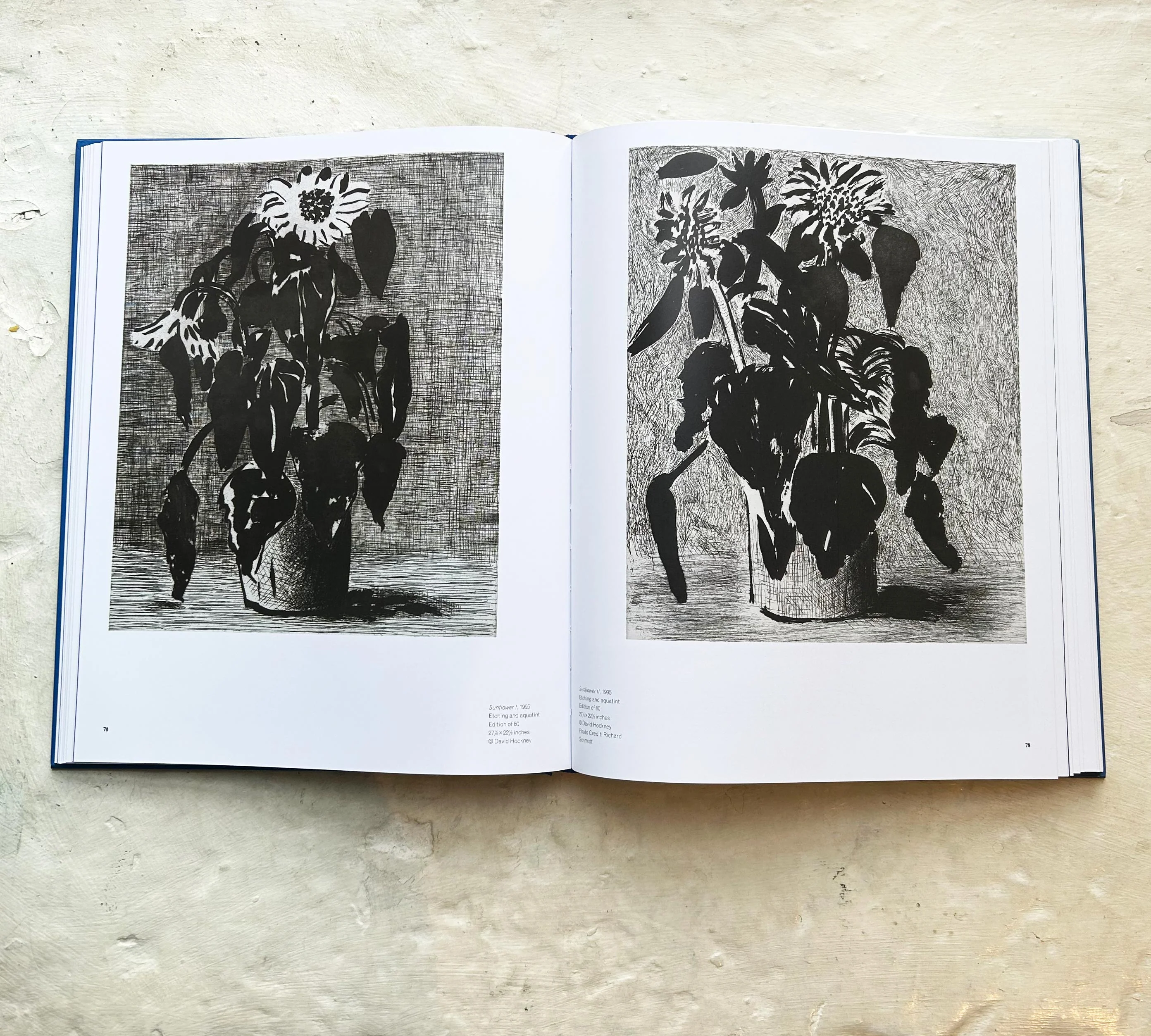 David Hockney: Paper Trails - hardback exhibition catalogue - Image 10