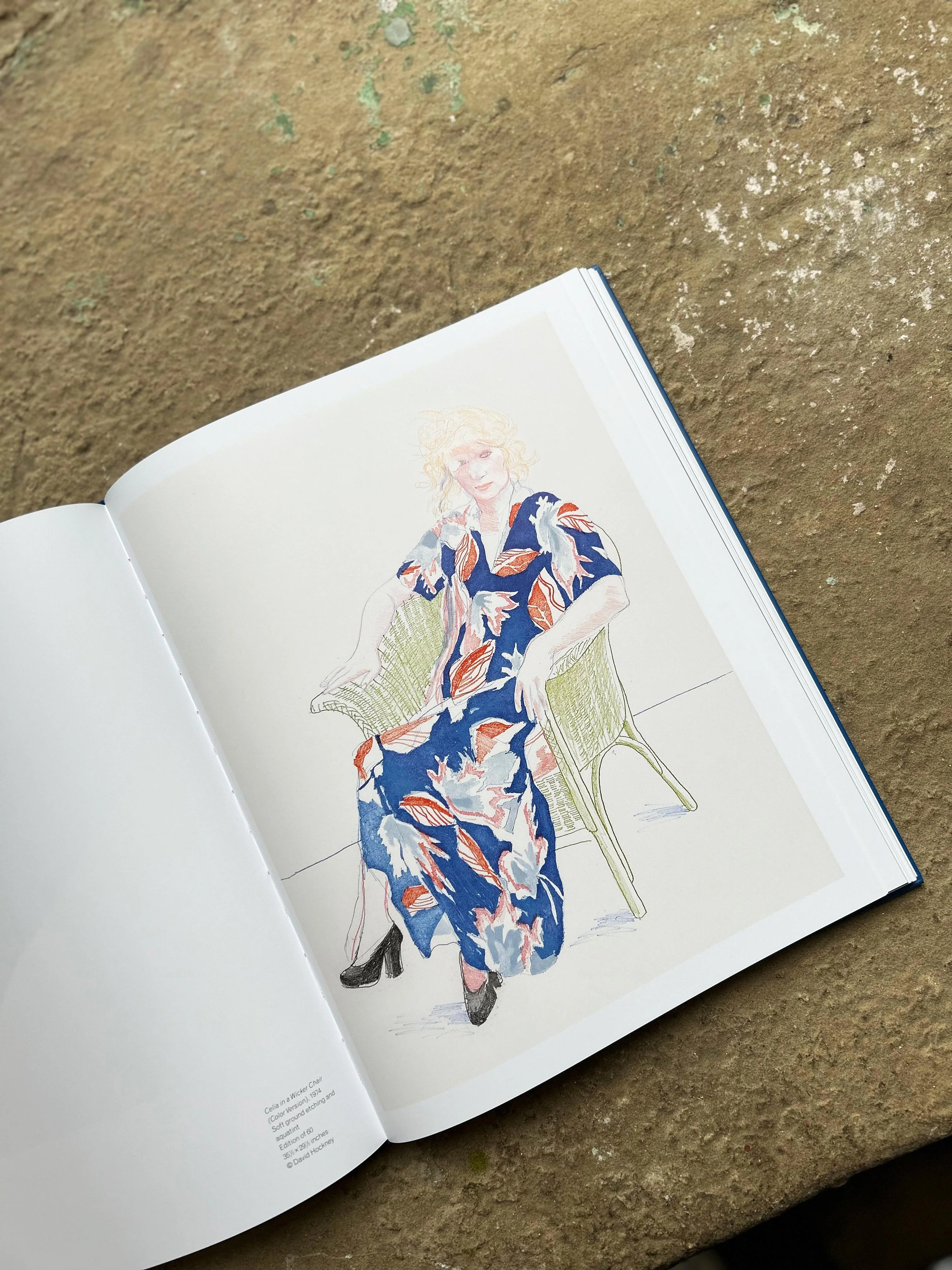 David Hockney: Paper Trails - hardback exhibition catalogue - Image 11