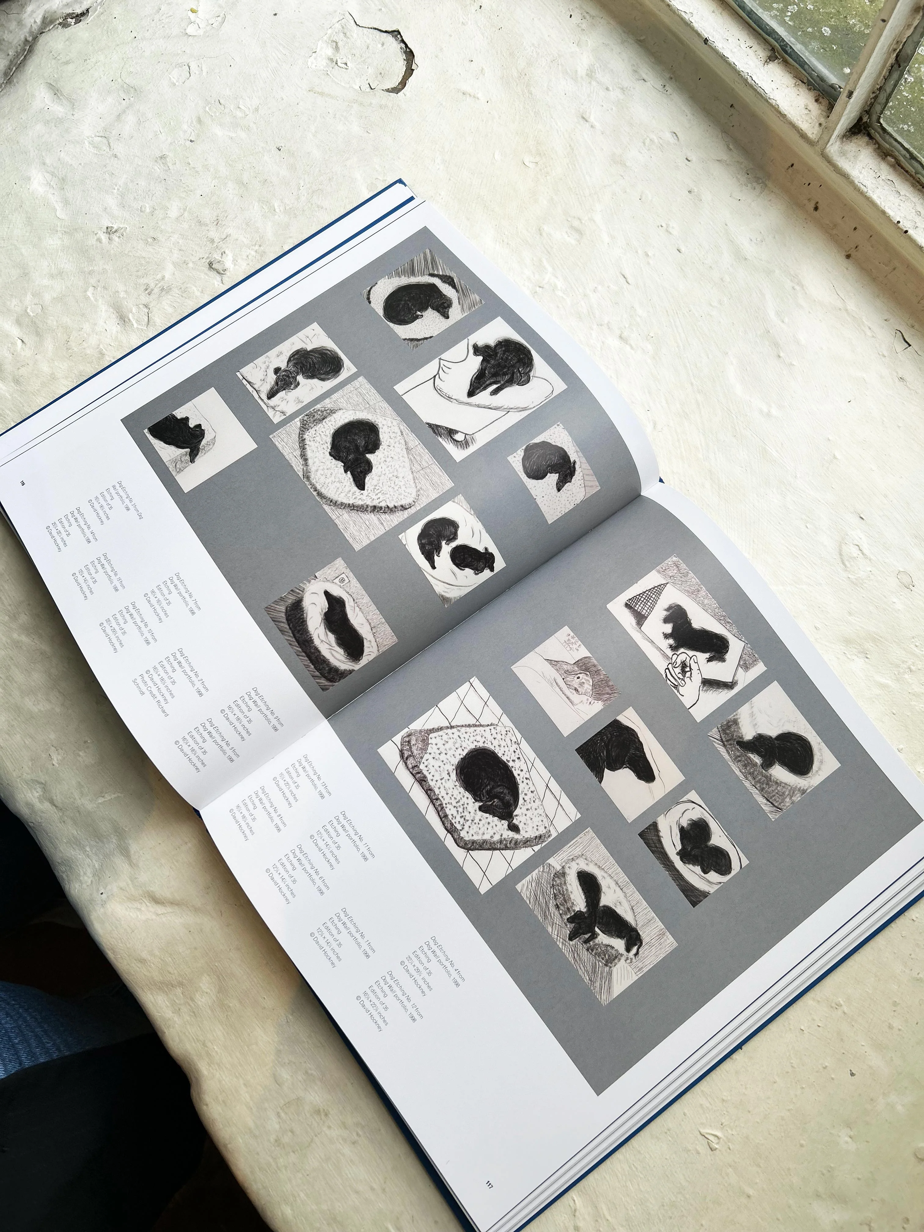 David Hockney: Paper Trails - hardback exhibition catalogue - Image 6