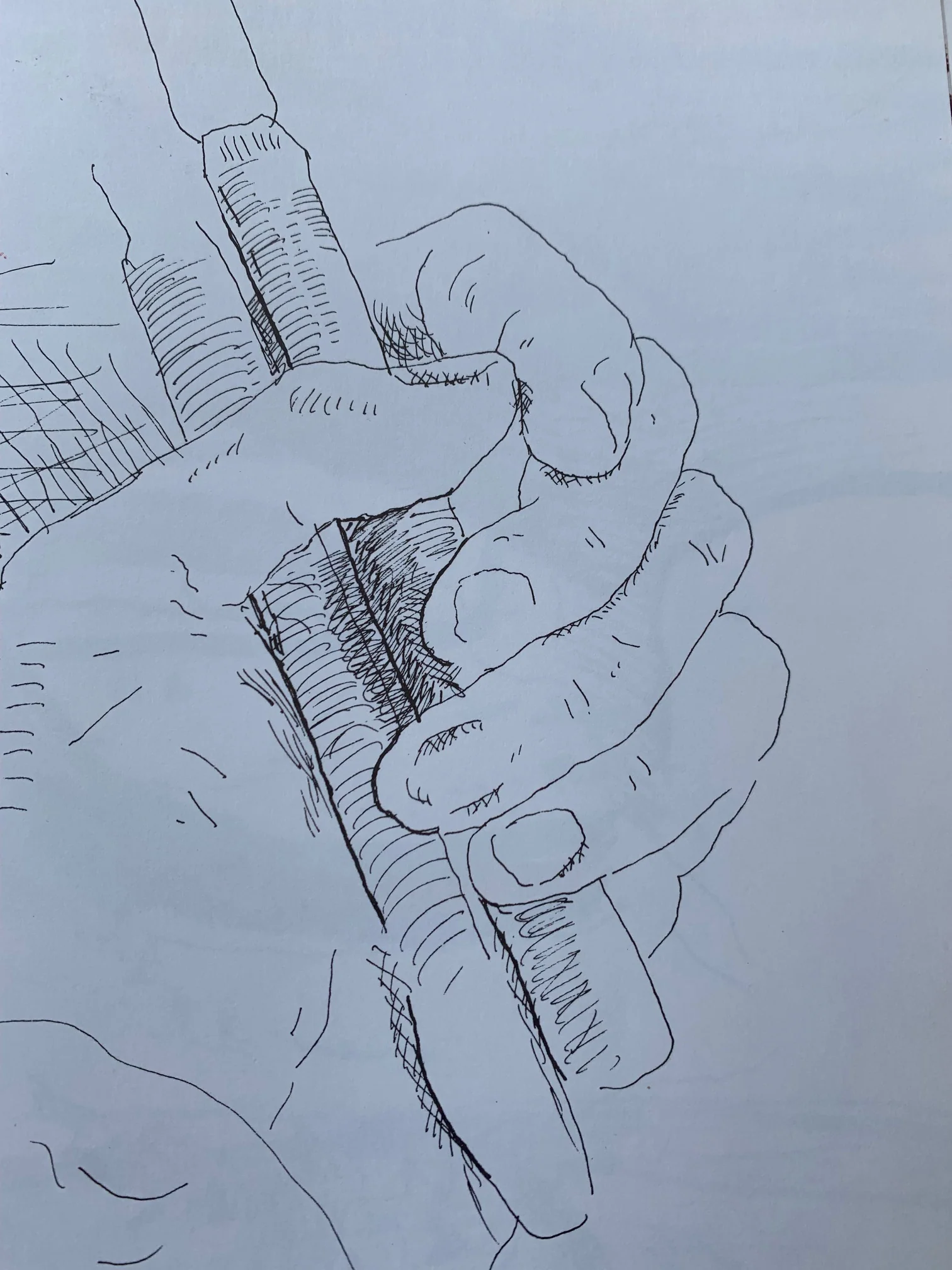Martha's Vineyard and Other Places: My Third Sketchbook from the Summer of 1982 by David Hockney (printed in 1985) - Image 3