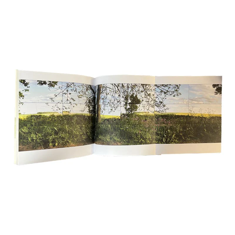 David Hockney: Video Brings Its Time To You... Exhibition Catalogue - Image 7