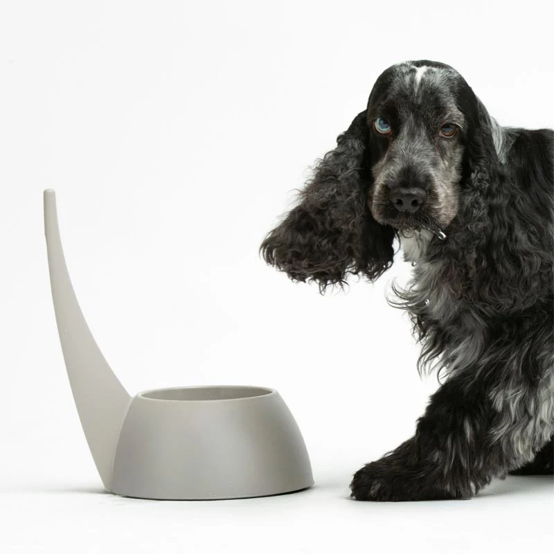 "Tail" Dog Bowl - Dove Grey - by United Pets - Image 2