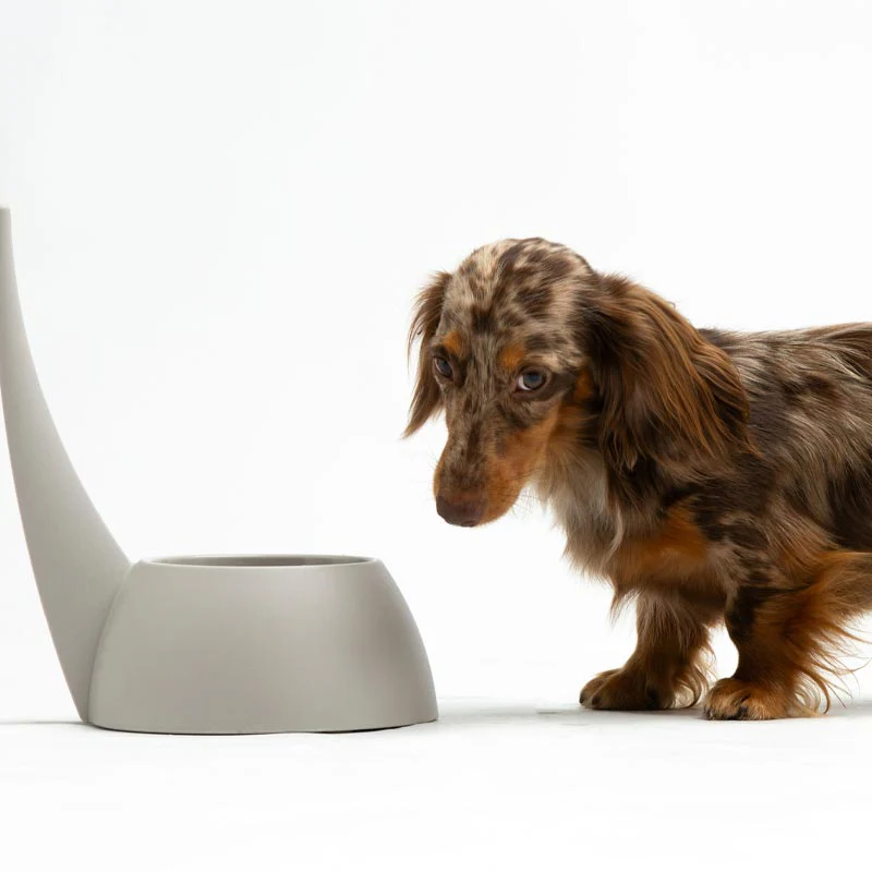"Tail" Dog Bowl - Dove Grey - by United Pets - Image 3