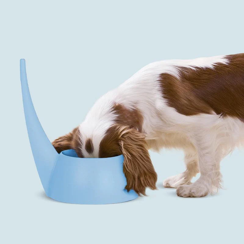 "Tail" Dog bowl - Light Blue - by United Pets - Image 2