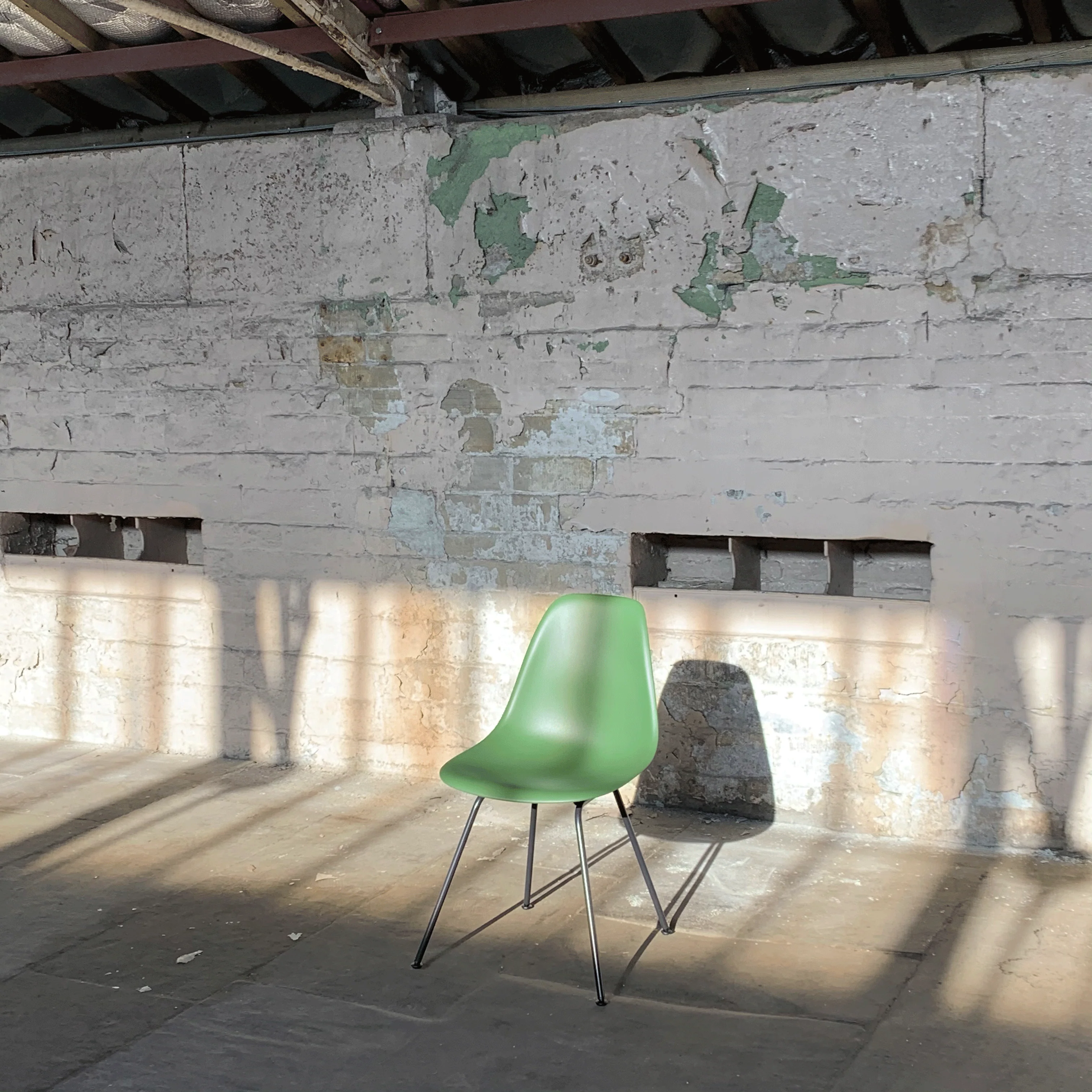 DSX RE Plastic Side Chair des. C&R Eames, 1950 - forest shell / black legs (made by Vitra) - Image 7