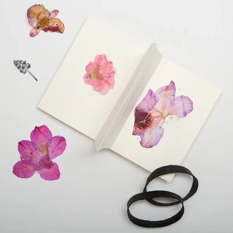 Field Flower Press, by Kikkerland - Image 4