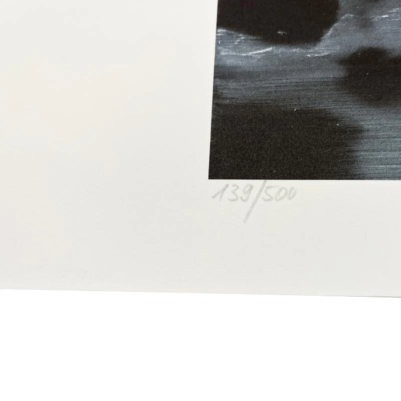 Birds / Vögel, 1964 print by Gerhard Richter - hand-numbered edition of 500. - Image 2