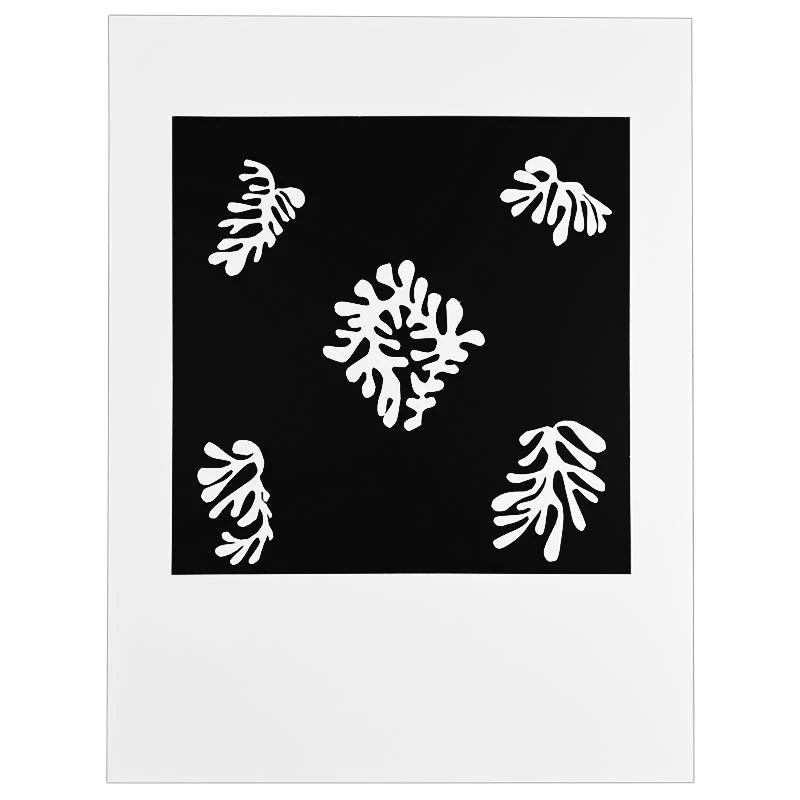 Henri Matisse - Voile de calice noir, 1950 - 1952 - Image 2
