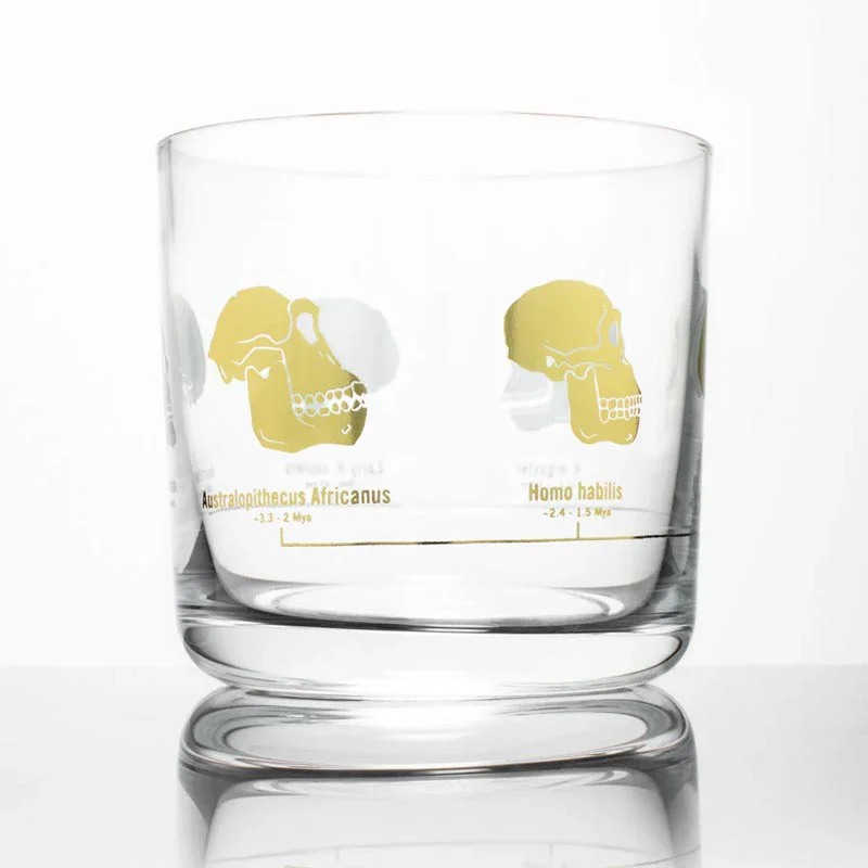 Hominid Skulls Whiskey Glass by Cognitive Surplus - Image 2