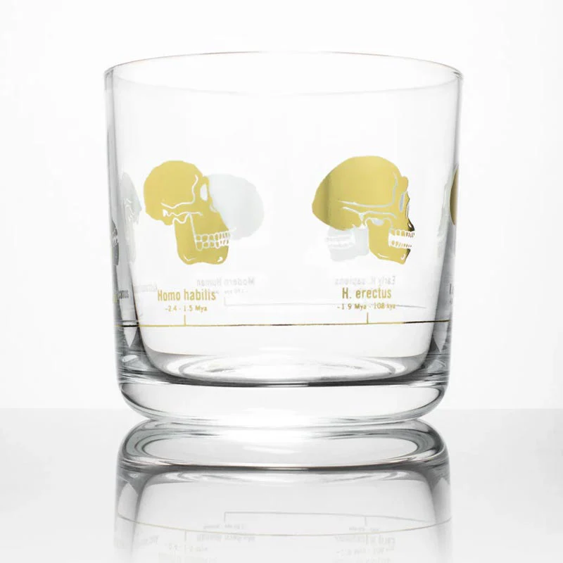 Hominid Skulls Whiskey Glass by Cognitive Surplus - Image 3