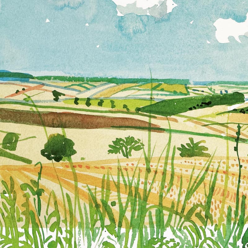 Looking Towards Huggate (Midsummer: East Yorkshire) Poster by David Hockney - Image 3