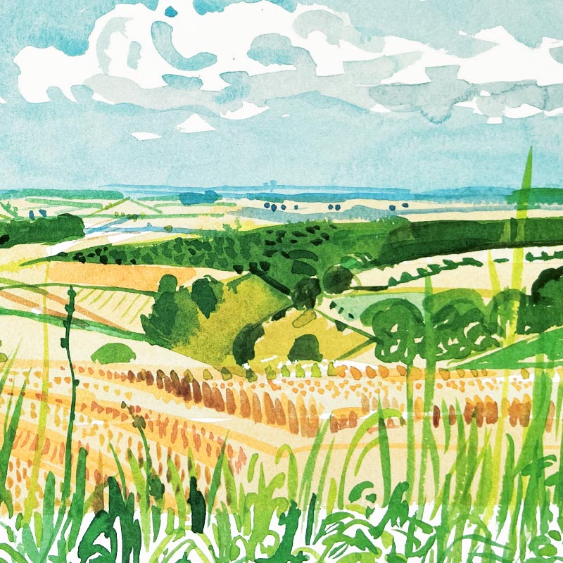 Looking Towards Huggate (Midsummer: East Yorkshire) Poster by David Hockney - Image 4