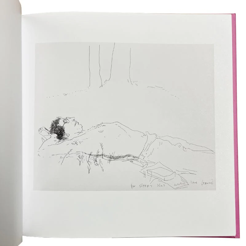 Love Life: David Hockney Drawings 1963-1977 - Image 4