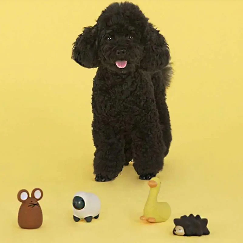 "Piero" Hedgehog Dog Toy - Mini Size - by United Pets - Image 4