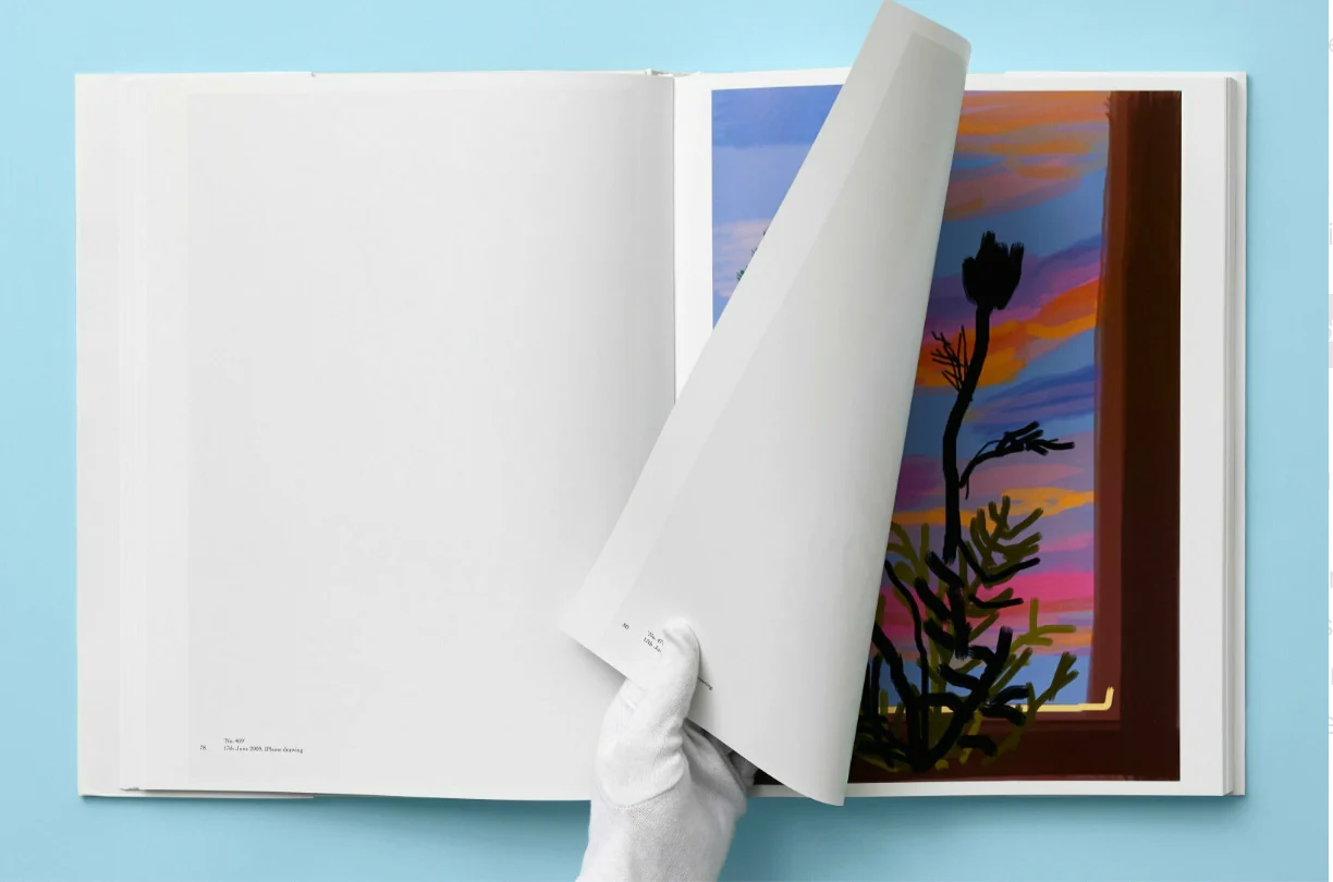 My Window by David Hockney, XL format - Image 5