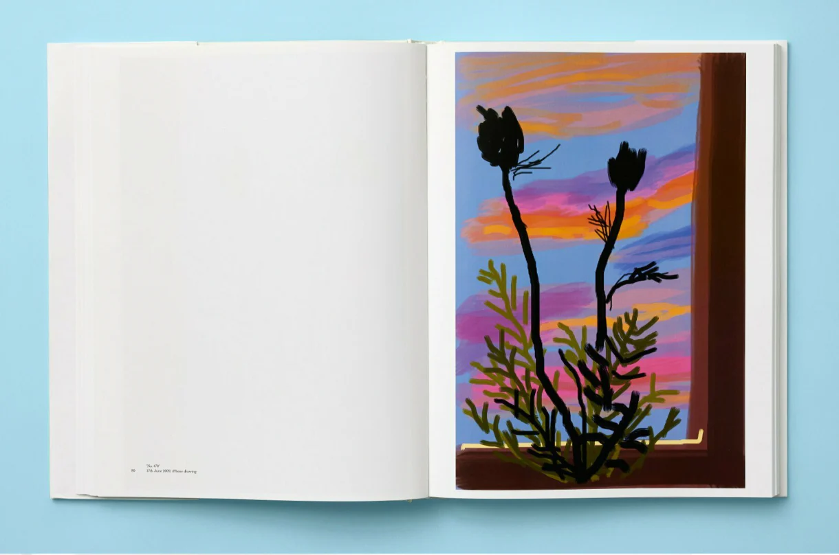 My Window by David Hockney, XL format - Image 6
