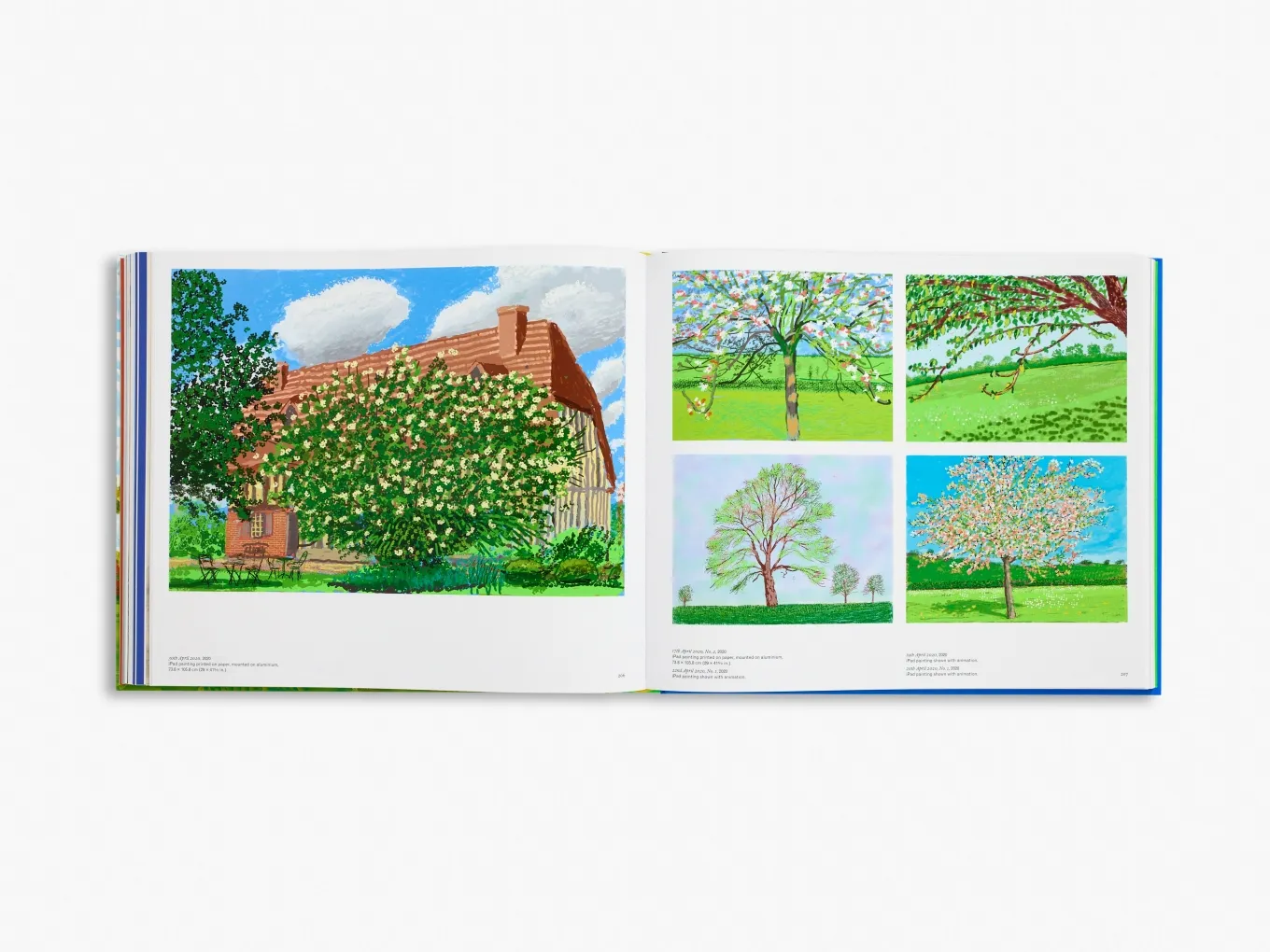 David Hockney: Fondation Louis Vuitton - Hardback Exhibition Catalogue - Image 7