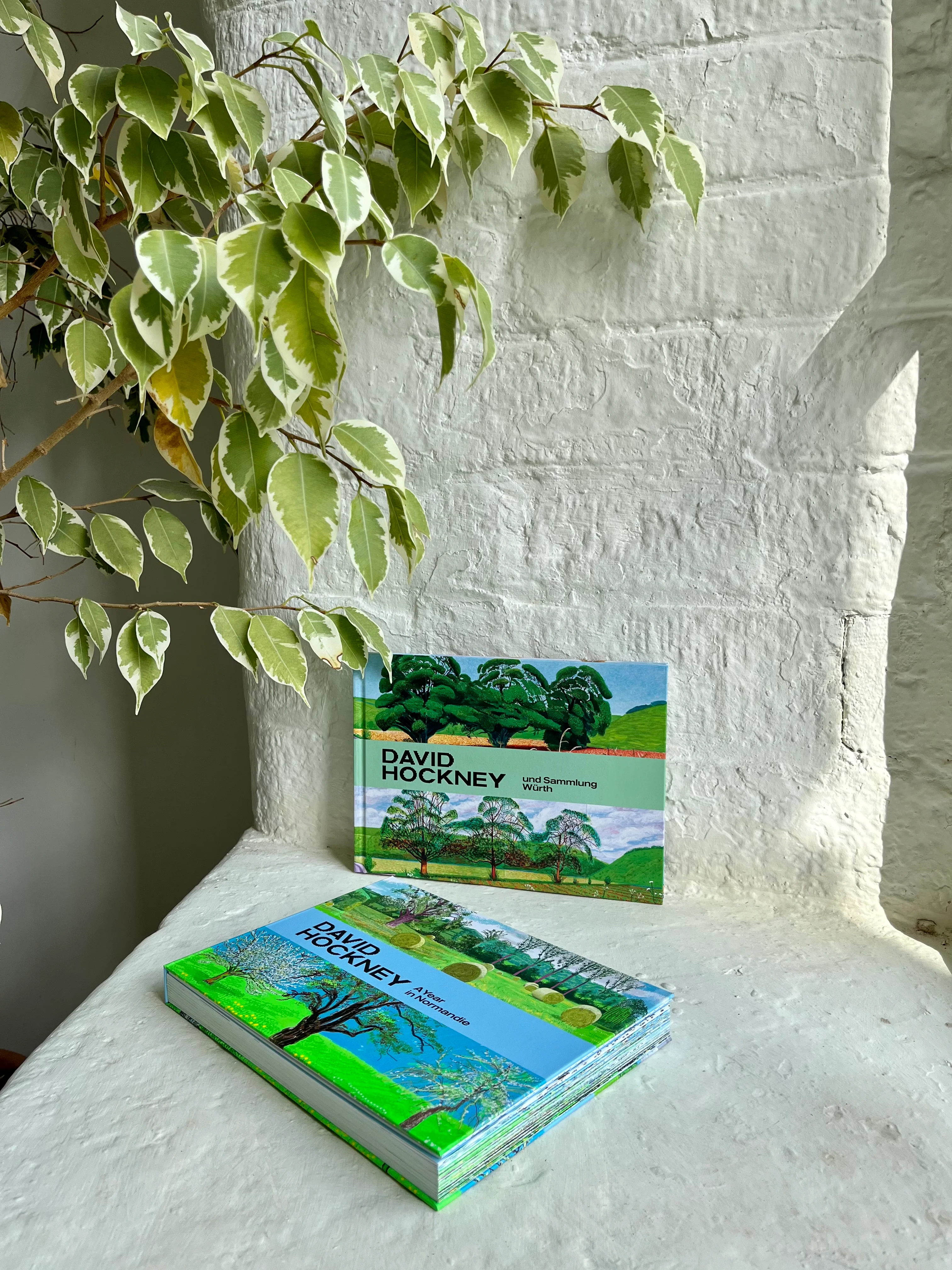 David Hockney A Normandie Catalogue - 2 volume catalogue including full accordion-folded frieze - Image 5