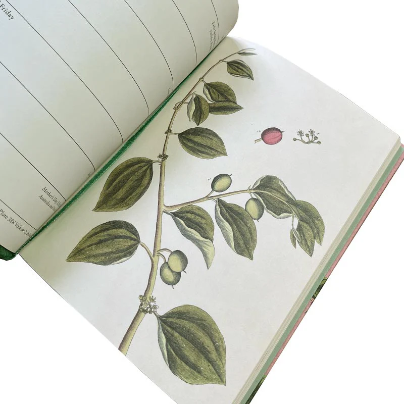 Royal Horticultural Society Diary 2026 - Image 3