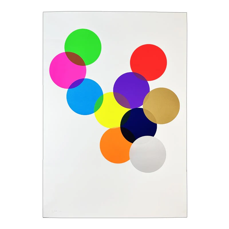 Spot Colours Screenprint by Dan Mather - signed, numbered and blind embossed - Image 4